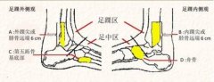 足踝外科介紹